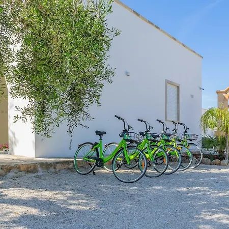 Paloma B&B-3